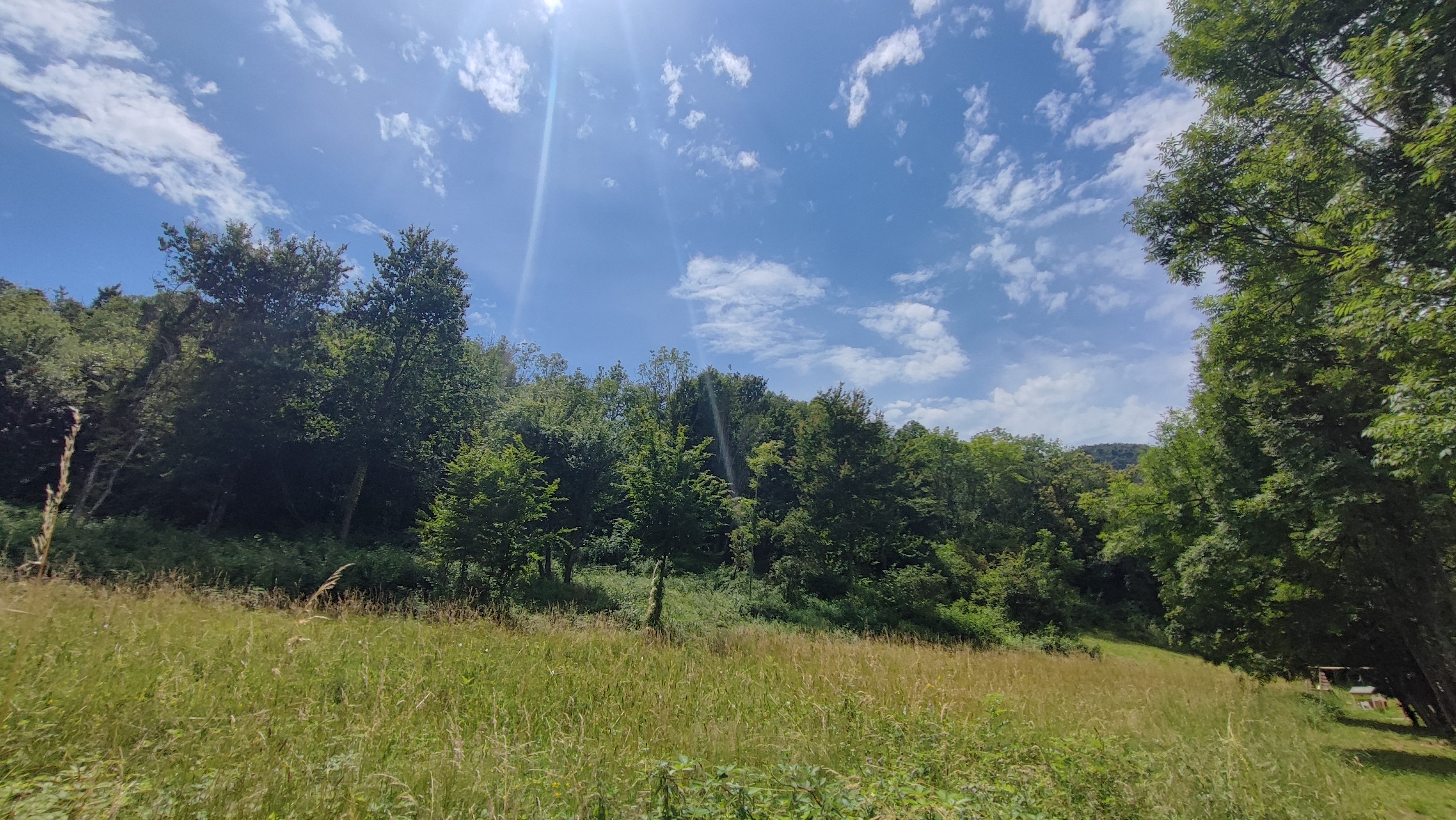Terrain constructible de 2414m2 à Saint-Nazaire-en-Royans